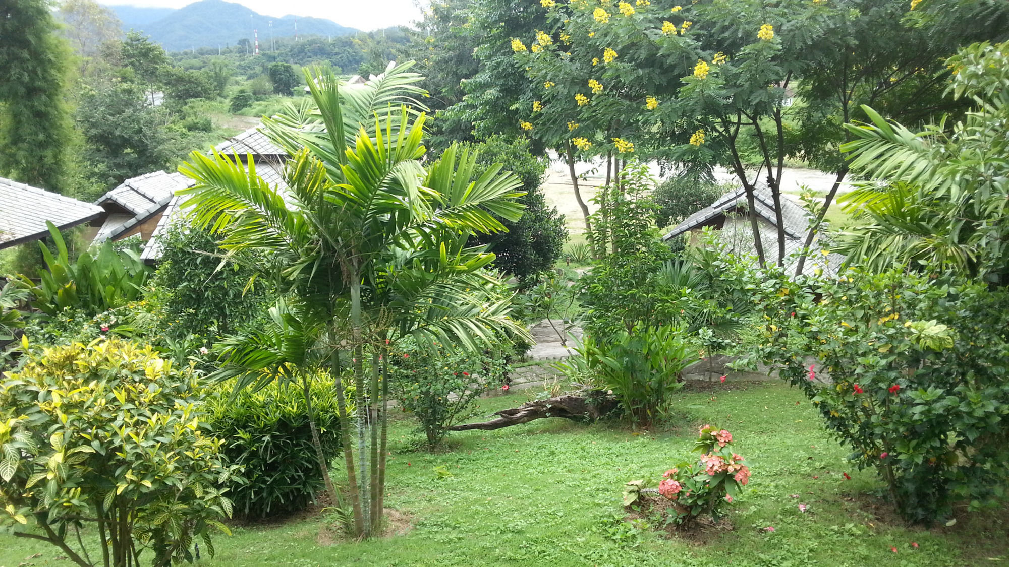 Pai Love & Baan Chonphao Resort المظهر الخارجي الصورة